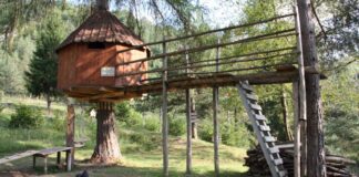 IL VILLAGGIO SUGLI ALBERI