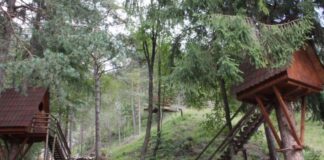 TG+ TRAVEL 22 GIUGNO