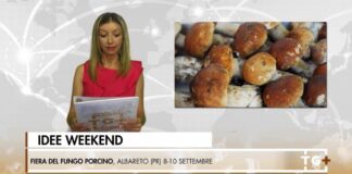 TG+ TRAVEL 07 SETTEMBRE