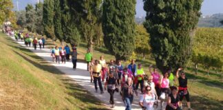ULS 2, DISTRETTO DI PIEVE DI SOLIGO. VITTORIO VENETO, IN TRECENTO AL 4° MEETING DEI GRUPPI CAMMINO .