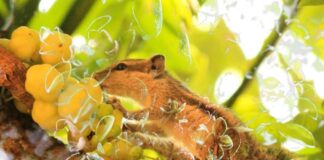 TG+ TRAVEL 26 OTTOBRE