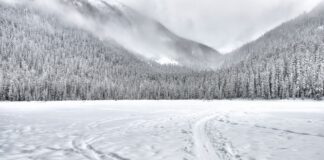 Neve sulle prealpi trevigiane e gelo in pianura. Arriva il generale inverno anche nella Marca Trevigiana.