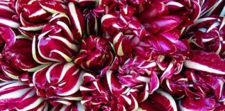 Coldiretti Venezia: “Maltempo e gelo spingono l’inflazione, ma nei campi è crisi per ortaggi sottopagati”