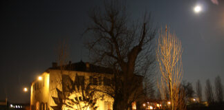 ROMANTICISSIMO ROSA ROSAE