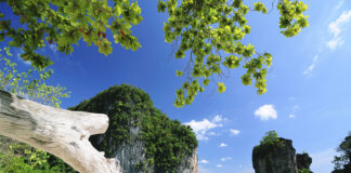 IL GIRO DEL MONDO IN 112 GIORNI