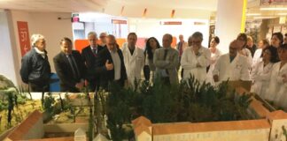 Goldin dona l’ospedale di Van Gogh al Ca’ Foncello