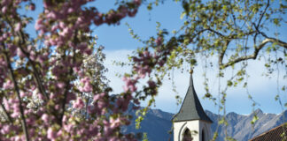 NEL PAESE DELLE “MELAVIGLIE”