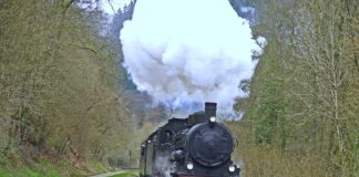 Da Treviso al Lago di Santa Croce per solidarietà