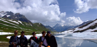 ORSI, BALENE, SPIAGGE E FORESTE ARRIVANO I VIAGGI WWF