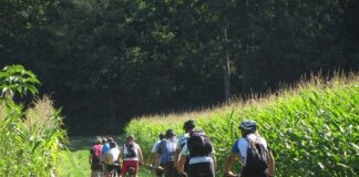 Treviso lancia il tour ciclisti diabetici. 700 km in bicicletta
