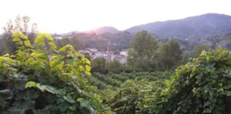 Plenilunio, serata al femminile alla Vigna di Sarah