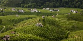 Al via i lavori a bagnolo, Rua di Feletto e Crevada per contenere frane e allagamenti