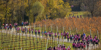 Appuntamento con la “Corri in Rosa 2018” a San Vendemiano il 18 novembre
