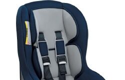 Via libera della Camera ai nuovi seggiolini salvavita per bebe’. Avranno segnali acustici.