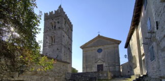 MERLETTI, GATTI E ARTISTI