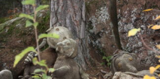 La strada della lana