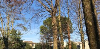 Il parco comunale di Mogliano sarà intitolato ai “Diritti dei bambini”