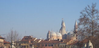 Da Padova a Treviso: i talenti emergenti dello sport locale