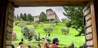 A raccogliere le olive