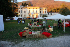 Il parco di Villa dei Cedri si veste di Natale