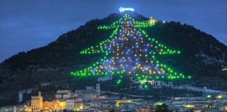 L’albero più alto del mondo è a Gubbio