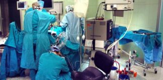 Un numero di telefono contro il “batterio killer”