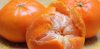 Grano saraceno al mandarino, agrume “vegano”