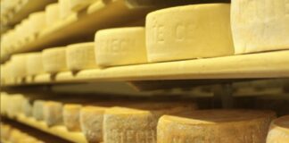 Calici in forma, il Prosecco incontra i formaggi di malga