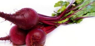 Rapa rossa e sedano rapa, in cucina vince la stagionalità