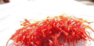 Zafferano, nasce anche nei Colli Euganei l’oro rosso italiano