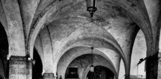 Treviso Photographic Festival. Una mostra diffusa con scatti dal mondo