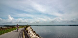 ARCHEOBUS, FISH NIC O BOAT AND BIKE?