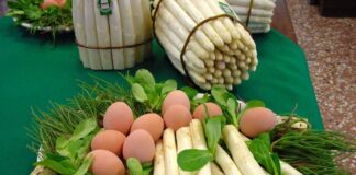 L’Asparago IGP da settembre cambia disciplinare