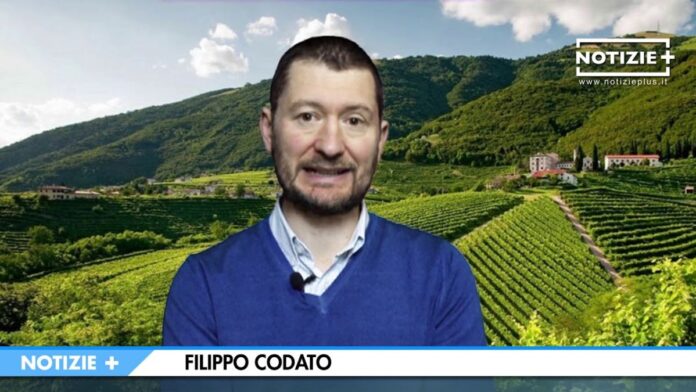 piu-meccanica-meno-chimica-la-ricetta-condifesa-tvb