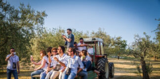 Cantine Aperte 2019, un lungo weekend di enoturismo