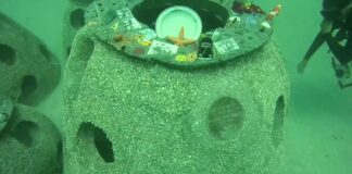 Memorial Reef: il progetto di tutela ambientale approda in Italia