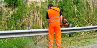 Verde pubblico, Treviso al lavoro per la manutenzione