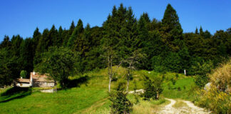 Bastardo e Morlacco del Grappa, la mostra dell’A.Pro.La.V. a Malga Campocroce