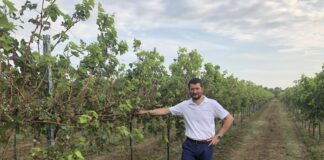 Condifesa TVB, 40 milioni di risarcimenti agli agricoltori