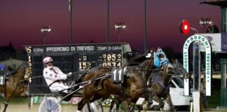 Serata Tris-Quarté-Quinté all’ippodromo S. Artemio
