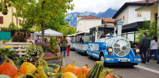 ZUCCA, MIELE O CASTAGNE?