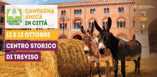 Campagna Amica in città, lo sbarco a Treviso