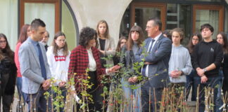 Ambiente, iniziata la consegna degli alberi anti-smog