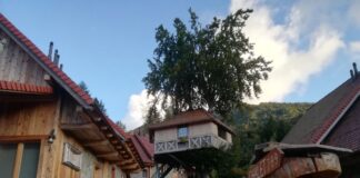 LA FAVOLA SULL’ALBERO