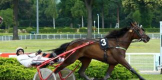 Trionfo di Zaniah Bi, il Memorial Biasuzzi è suo