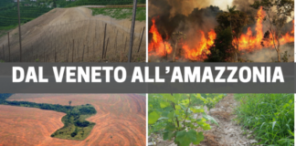 “Dal Veneto all’Amazzonia”: il convegno con Zanoni