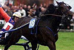 Un ospite d’onore al Memorial Biasuzzi: è Varenne