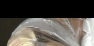 La Polizia Locale chiude due locali a Treviso