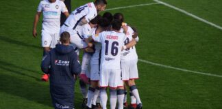 Gli squali fanno festa in laguna