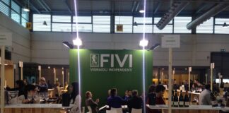 La FIVI propone di rimandare il Vinitaly al 2021